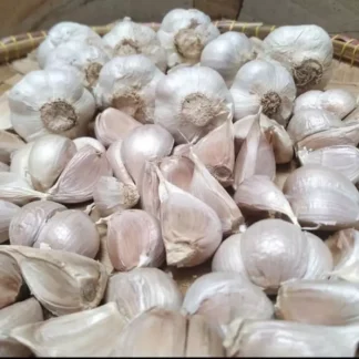 Bawang Putih Cattling Bersih 1KG Fresh Dan Segar