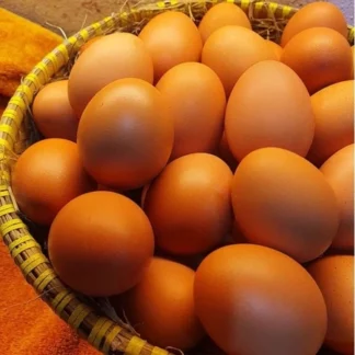 Telur Ayam Horn Fresh 1kg - Langsung Dikirim, Segar, Siap Pakai